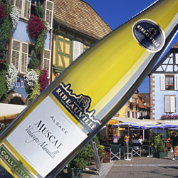 ミュスカ・コレクション カーヴ・ド・リボヴィレ 2015年 フランス アルザス 白ワイン 辛口 750ml
