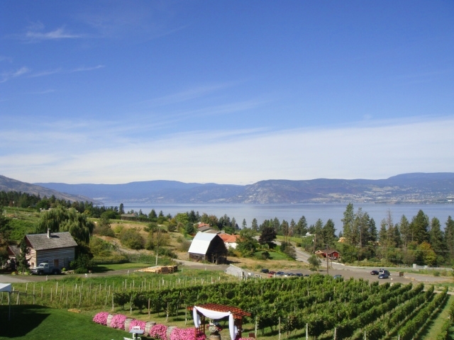アイスワインの産地はカナダが有名