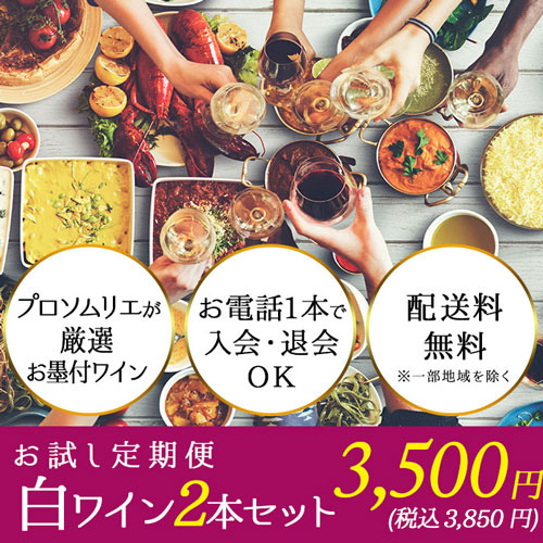 ソムリエお試し定期便 白ワイン2本セット(1ヶ月毎お届け) 送料無料 白ワインセット