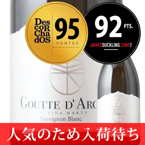 【人気のため入荷待ち】ぎんの雫 グット・ダルジャン ソーヴィニョン・ブラン ヴィニャ・マーティ 2024年 チリ レイダ・ヴァレー 白ワイン 辛口 750ml
