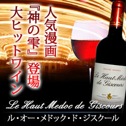 ル・オー・メドック・ド・ジスクール 2013年 フランス ボルドー 赤ワイン フルボディ 750ml