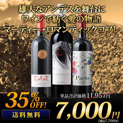 雄大なアンデスを舞台にワインで紡ぐ愛の物語 マーティー・ロマンティックコフレ 送料無料 赤ワイン3本セット 赤ワインセット