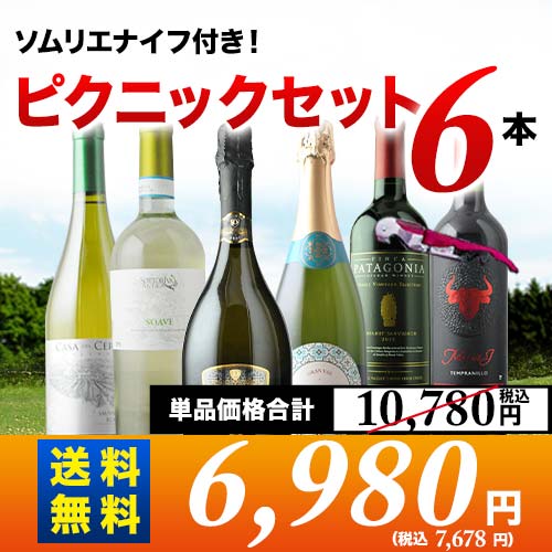 ソムリエナイフ付きで外でも安心 ピクニックセット6本入り第26弾 送料無料 (6人用) 泡2本&白2本&赤2本 ワインセット「9/12更新」