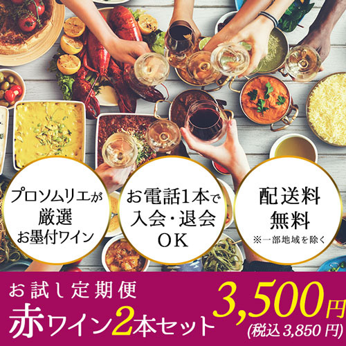 ソムリエお試し定期便 赤ワイン2本セット(1ヶ月毎お届け) 送料無料 赤ワインセット