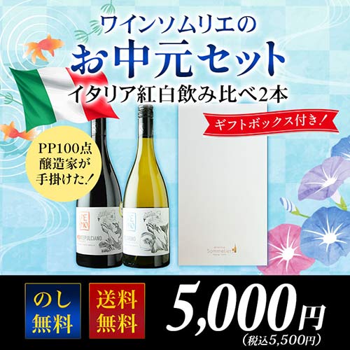 ワインソムリエのお中元セット　イタリア紅白飲み比べ 送料無料 赤1本・白1本 ワインセット