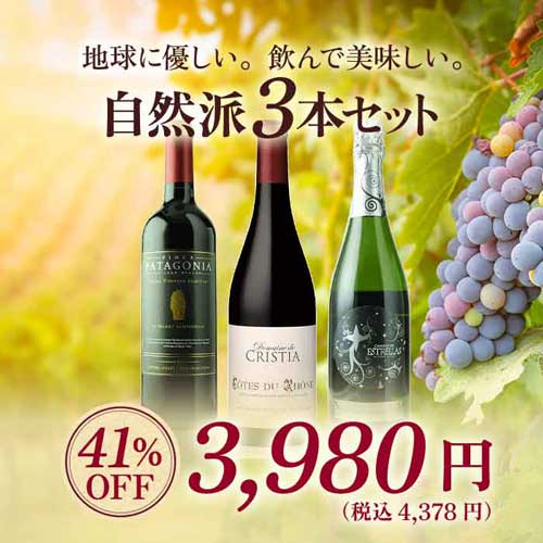 【店内全品33%OFFクーポン配布中!】自然派3本セット 赤2本&泡1本 ワインセット【第15弾】「7/2更新」