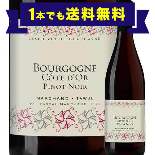 「1本でも送料無料」ブルゴーニュ・コート・ドール・ピノノワール マルシャン・トーズ 2020年 フランス ブルゴーニュ 赤ワイン ミディアムボディ 750ml