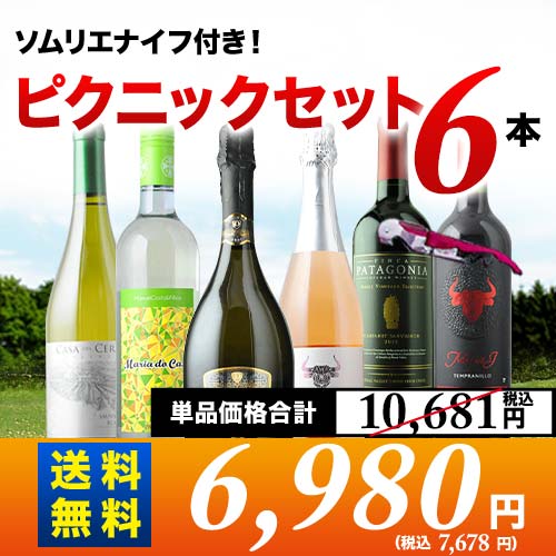 ソムリエナイフ付きで外でも安心 ピクニックセット6本入り第25弾 送料無料 (6人用) 泡1本&ロゼ1本&白2本&赤2本 ワインセット「9/9更新」
